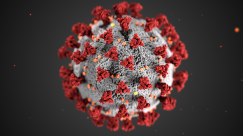Public domain illustration of the coronavirus created by the Centers for Disease Control. 