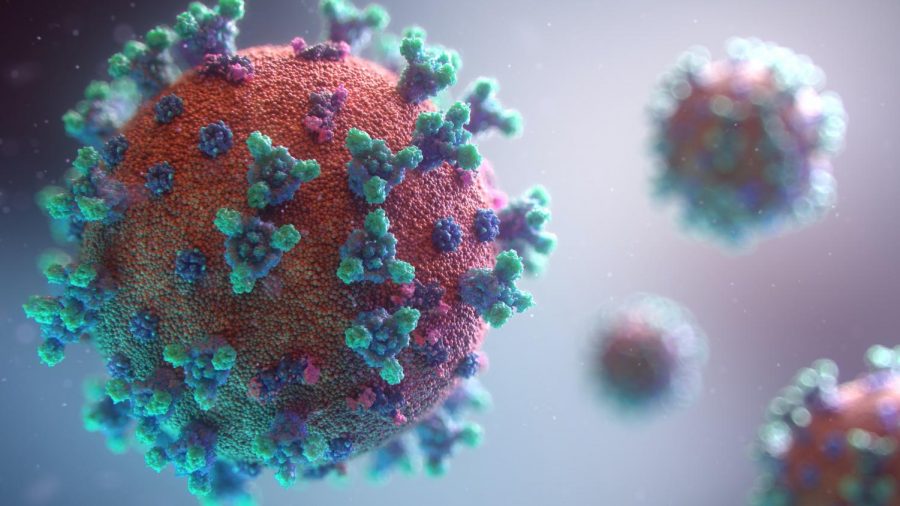 Illustrated visualisation of the COVID-19 virus by 
Fusion Medical Animation. Image is in the public domain.
