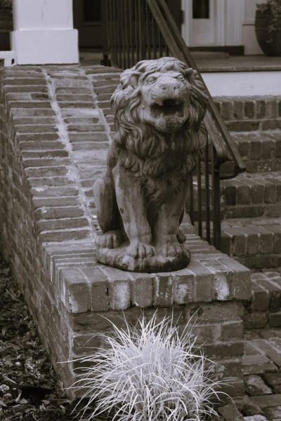 Historic District lion statue