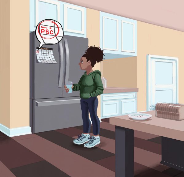 Illustration on Public Service Commission 
