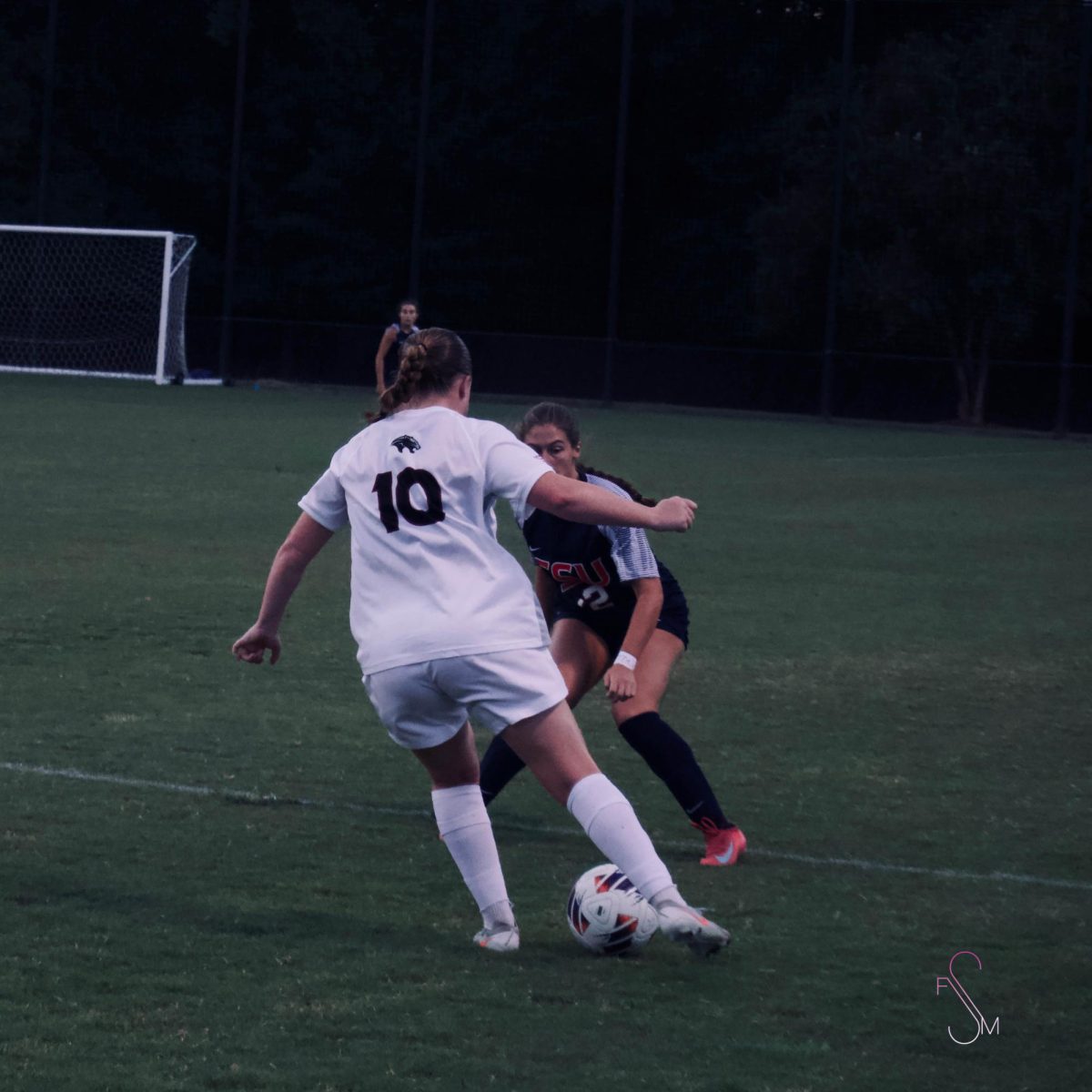CSU Lady Cougars