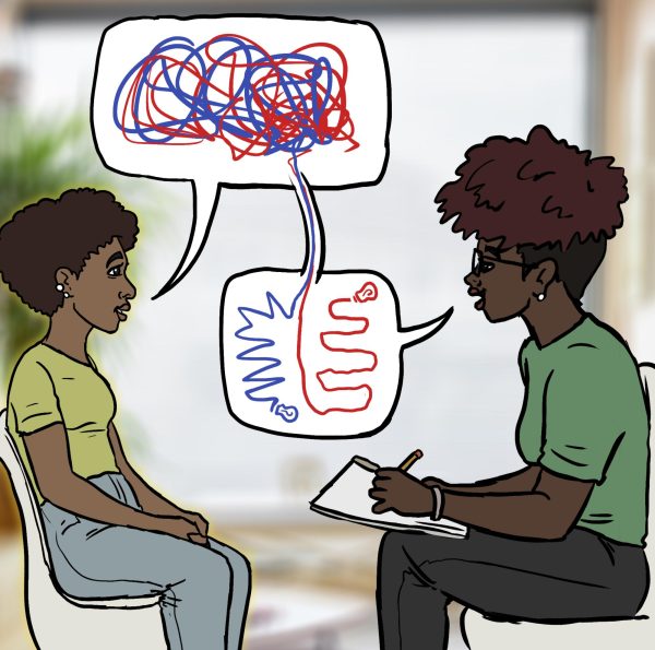 CSU Counseling Center Expands Services to Support Students’ Mental Health